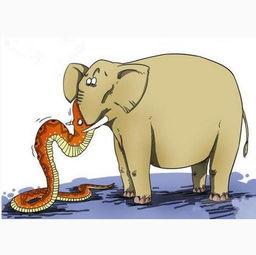 贪心不足蛇吞象,揭秘欲望的无限膨胀与后果