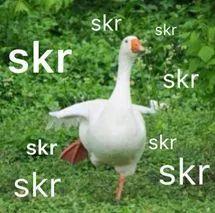 吃瓜群众的意思和造句是什么,揭秘网络热议背后的围观心态