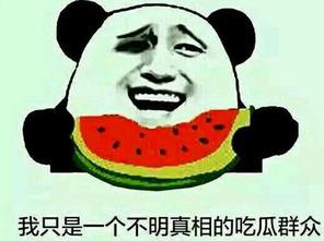 在线观看吃瓜群众视频  第2张