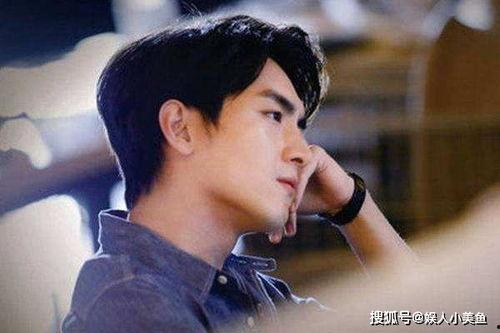 娱乐圈吃瓜爆料林更新,娱乐圈爆料背后的真相与争议  第2张